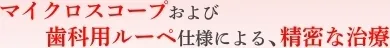 マイクロスコープおよび歯科用ルーペ仕様による、精密な治療
